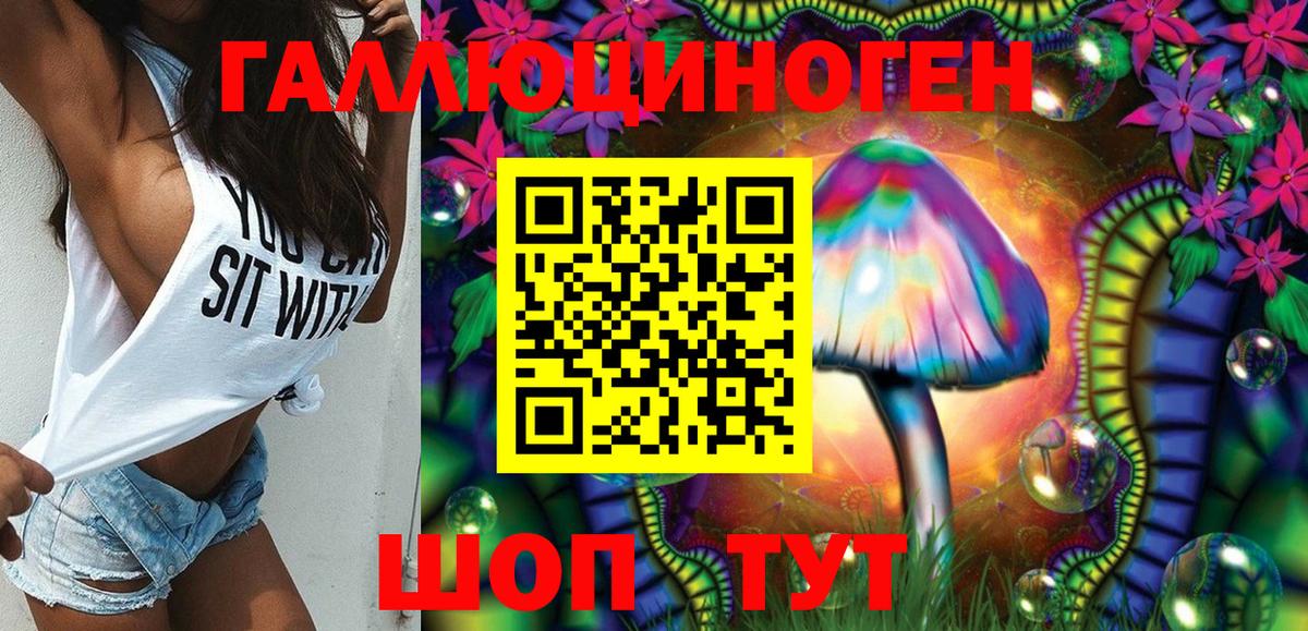 даркнет сайт  Псилоцибиновые грибы Psilocybe  Вход с VPN  Назрань 